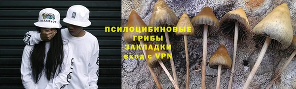 ПСИЛОЦИБИНОВЫЕ ГРИБЫ Алексин