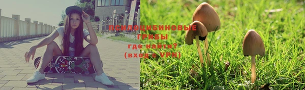 эйфоретик Абинск