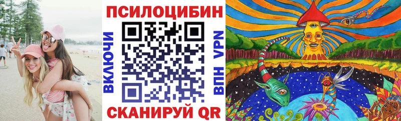 Галлюциногенные грибы Psilocybe  Прокопьевск 